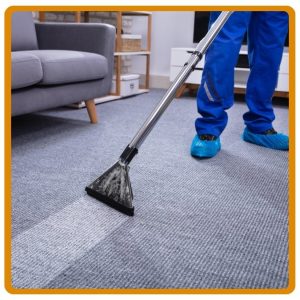 Carpet Steam Cleaning